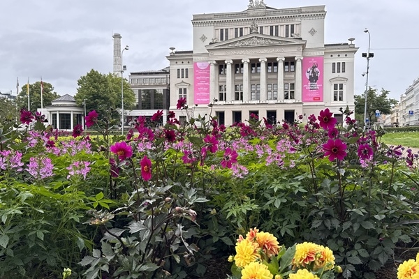 Baltijas puķu dobju festivālā Rīgā triumfē Operas svēra dobe 