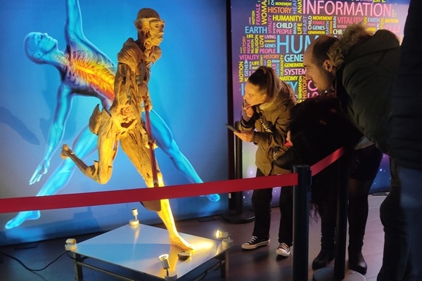 Rīgā būs skatāma viena no pasaulē pazīstamākajām izstādēm par cilvēka ķermeni – «BODIES Evolution»