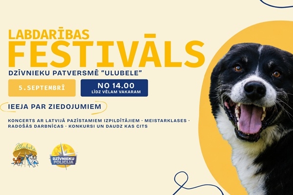 Agnese Rakovska, Stirna, «Bukte», Marta un citi mūziķi uzstāsies festivālā patversmes dzīvnieku atbalstam