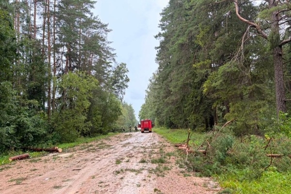 Vētra postījusi valsts mežus visā Latvijas teritorijā
