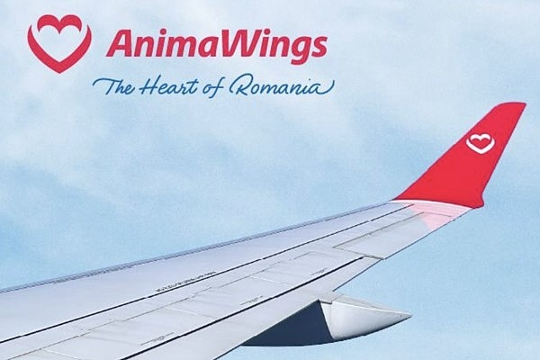 Rumānijas lidsabiedrība «Animawings» piesaka maksātnespēju