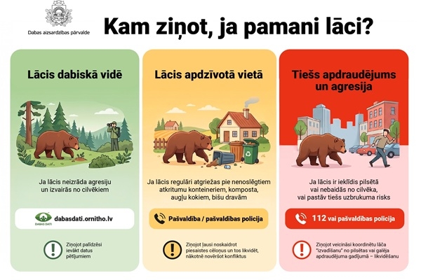 Ko darīt, ja pamani lāci? Dabas aizsardzības pārvalde aicina iedzīvotājus ziņot atbilstoši situācijai