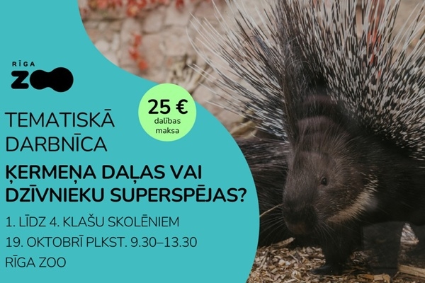 Rīga ZOO aicina skolēnus rudens brīvlaiku pavadīt zoodārzā