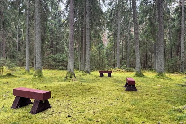 Ogres novada Sociālā dienesta Dienas aprūpes centra audzēkņi piedalīsies RĪGAS MEŽU vides izglītības programmas «EkVidO» rīkotajā rudens radošajā plenērā