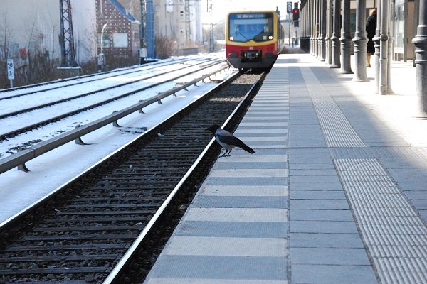 Vācija gatavojas paaugstināt sabiedriskā transporta biļešu cenu