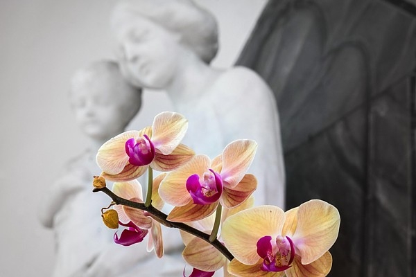 15. augusts vēsturē: Lietuvā svin Vissvētākās Jaunavas Marijas Debesīs uzņemšanas dienu