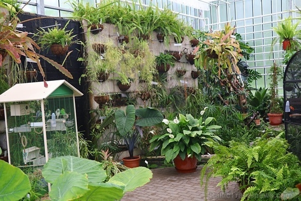 Dabas aizsardzības pārvaldei pievienots Latvijas Nacionālais botāniskais dārzs