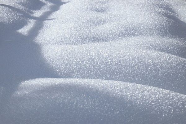 Izsludināts ārkārtas stāvoklis Lietuvā, Plunģes rajonā