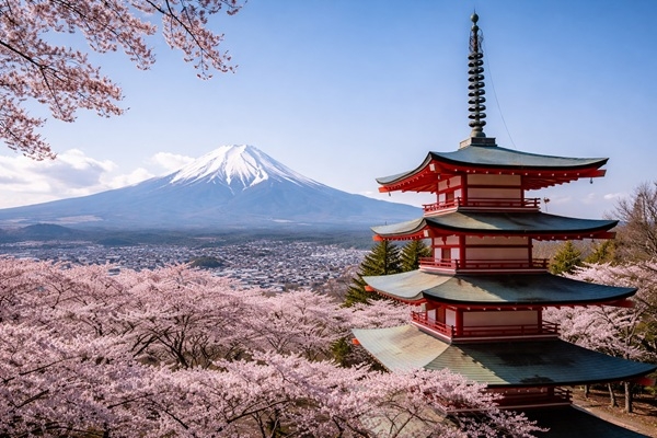 Japāna atceļ slaveno sakuras festivālu pie Fudži kalna