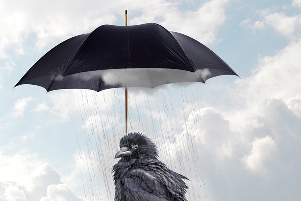 Mitrākā pilsēta pasaulē: Vieta, kur lietus līst 22 reizes vairāk nekā Londonā