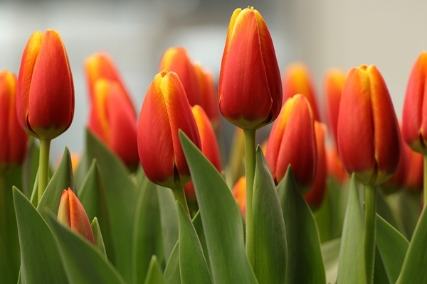 Travelnews.lv piedāvā: Nedēļas nogales pasākumu TOP7