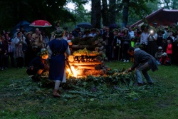 Vasaras saulgrieži Lēdurgā