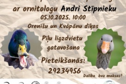 Putnu dienu pastaiga Lubāna mitrājā