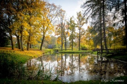 Jezupovas (Juzefovas) muižas parks