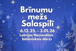 Brīnumu mežs Salaspilī Salaspils novada TIC