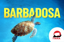 Barbadosa! Cena sākot no 1909 eur! Itaka Latvia