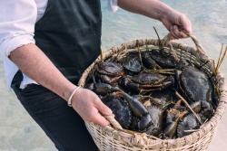 Kā nepalaist garām izdevīgu piedāvājumu? Estravel Latvia