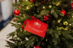 Atpūtas un ceļojumu piedāvājumi 13.12.2025 - 20.12.2025 Kolektīva saliedēšanās Rēzeknē  Rēzeknes pilsētas TIC