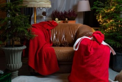 Gada nogale Cesvainē Madonas TIC