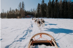 Vēl vairāk ZIEMAS! Estravel Latvia - A/S Estravel Group filiāle