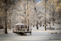 Jezupovas (Juzefovas) muižas parks Augšdaugavas novada Tūrisma nodaļa