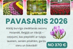 ZIEDU PARĀDE PAVASARĪ  Latvia Tours - Berga bazārs