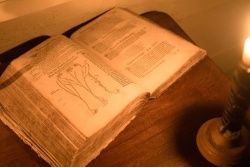  Holandiešu veselības eliksīru darbnīcu