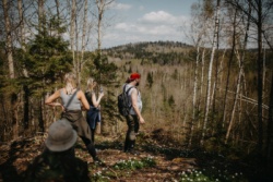 Atpūtas un ceļojumu piedāvājumi 26.03.2026 - 28.03.2026 Pretī pavasarim Gaiziņkalna apkārtnē Madonas TIC