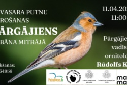 Atpūtas un ceļojumu piedāvājumi 06.04.2026 - 10.04.2026  Pavasara putnu vērošana Lubānas mitrrājā Madonas TIC