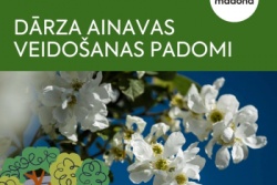 Dārza ainavas veidošanas padomi