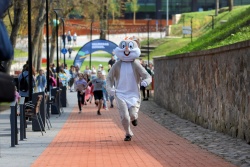 Atpūtas un ceļojumu piedāvājumi 04.04.2026 - 07.04.2026 “Zaķim pa pēdām” Valmierā Valmieras novada Tūrisma pārvalde