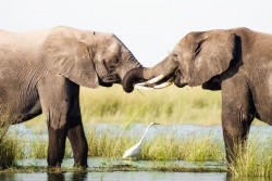 Jauns mēnesis - jaunas ATLAIDES!