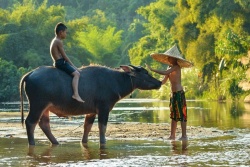 Mekongas upes kruīzi, 5+7 naktis. Lukss CRUISEcentre