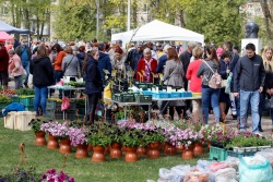 Pavasara tirgus Rēzeknē - “Rasādu opluots” Rēzeknes pilsētas TIC