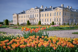 Tulpju ziedēšana Rundāles pils dārzā Bauskas TIC