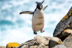 Ekspedīciju kruīzi - Jubilejas akcija