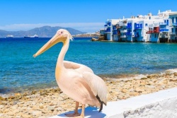 Atpūtas un ceļojumu piedāvājumi 30.04.2026 - 01.05.2026 Tikai 1 dienu - papildu atlaide! CRUISEcentre