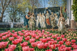 Atpūtas un ceļojumu piedāvājumi 07.05.2026 - 10.05.2026 Pakrojas pavasara ziedu festivāls Nikos Travel