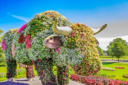 Pilsētu piepilda krāsas