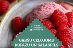Māju kafejnīcu dienas Salaspils novadā