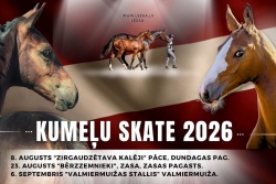 “Kumeļu skate” Valmiermuižā