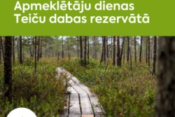 Apmeklētāju dienas Teiču dabas rezervātā