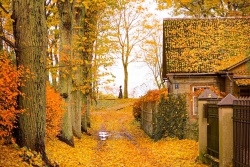 Kur Jūrmalā sasildīties pēc pastaigas? VisitJurmala.lv