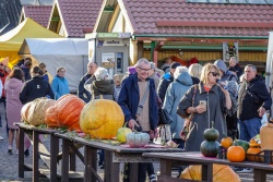 Ķirbju svētki  VisitVentspils.com