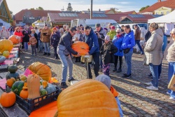 Ķirbju svētki  VisitVentspils.com