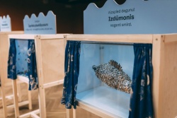 Izstāde "Jūras ļaundaru laboratorija" Visit.valmiera.lv