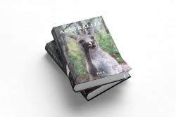 Žiga piedzīvojumi Austrālijā