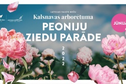 Atpūtas un ceļojumu piedāvājumi 01.06.2022 - 30.06.2022 Kalsnavas arborētumā Peoniju ziedu parāde Madonas TIC
