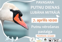 Atpūtas un ceļojumu piedāvājumi 26.03.2024 - 06.04.2024 Lubānas mitrāja putnu vērošanas pastaiga Madonas TIC