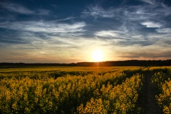 Where the sun is rising - a route for car  Ignalinos rajono TIC